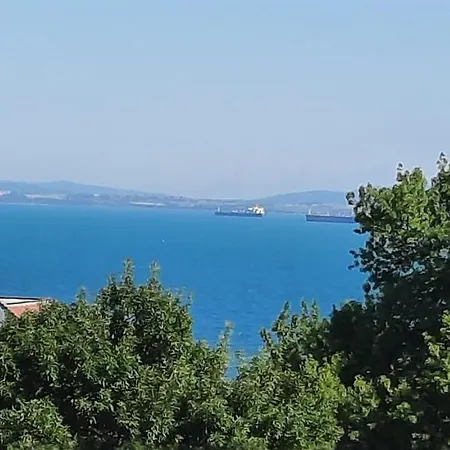 студио изгрев アパート